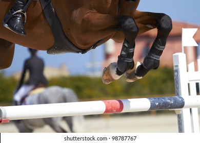 Horse jump a hurdle in a competition/Horse jump