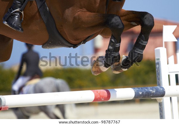 Horse jump a\
hurdle in a competition/Horse\
jump
