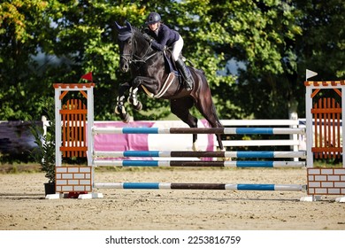 Horse jumping horse black with rider woman jumping over an obstacle. - Shutterstock ID 2253816759
