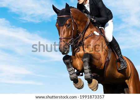 Horse jumping with blue sky background, Show Jumping, Equestrian Sports, Horse riding, 