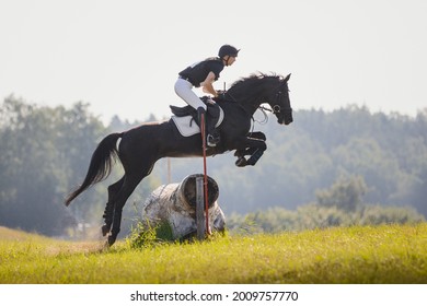 horse jumping during horse eventing cross-country in the morning in summer