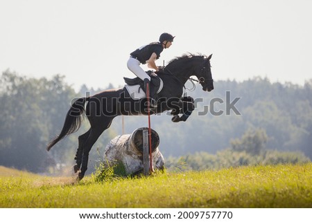 horse jumping during horse eventing cross-country in the morning in summer