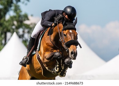 Horse Jumping, Equestrian Sports, Show Jumping themed photo. - Powered by Shutterstock