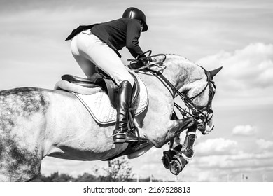 Horse Jumping, Equestrian Sports, Show Jumping themed photo. - Powered by Shutterstock