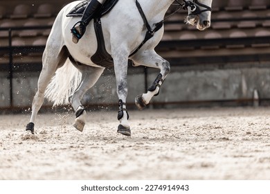 Horse Jumping, Equestrian Sports, Show Jumping themed photo. Rider - Shutterstock ID 2274914943