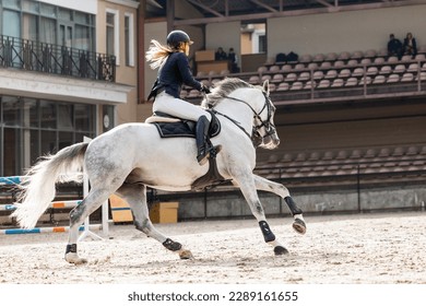 Horse Jumping, Equestrian Sports, Show Jumping themed photo. Rider - Shutterstock ID 2289161655