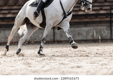 Horse jumping, Equestrian sports, Show jumping. The rider. Horse legs close up - Shutterstock ID 2289161671