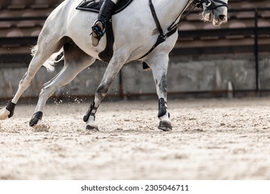 Horse jumping, Equestrian sports, Show jumping. The rider. Horse legs close up - Shutterstock ID 2305046711