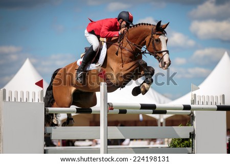 Horse Jumping, Equestrian Sports, Show Jumping Competition  themed photo