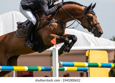 Horse Jumping, Equestrian Sports themed photo.