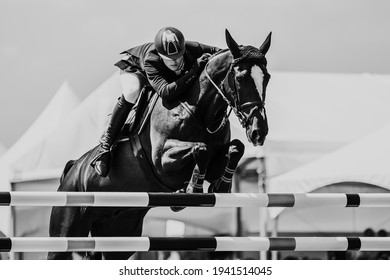 Horse Jumping, Equestrian Sports themed photo in black and white. - Powered by Shutterstock