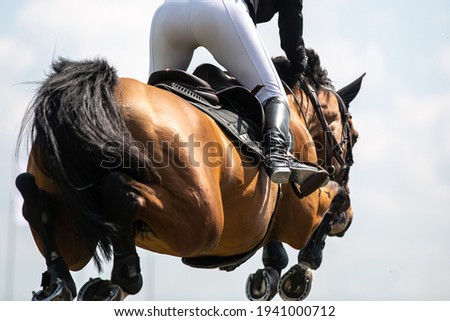 Horse Jumping, Equestrian Sports themed photo.