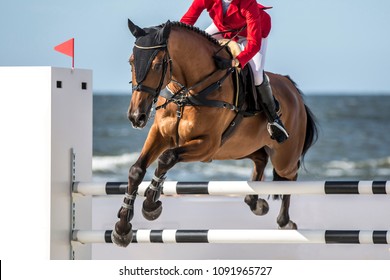 Horse Jumping Event, Show Jumping Sports.