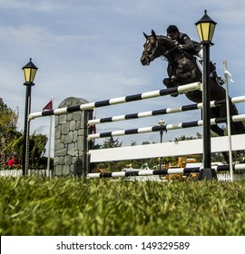 Horse jumping obstacle