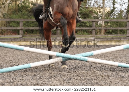 Horse jumping over a fence. Equestrian