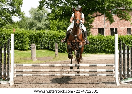 A Horse jumping over obstacle