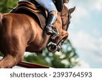 Horse Jumping, Show Jumping themed photograph.