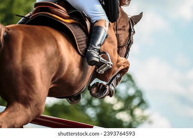 Horse Jumping, Show Jumping themed photograph.