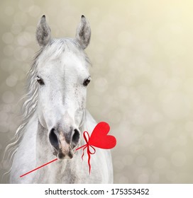 Horse keep Heart Lollipop for Valentine's Day on bokeh background
