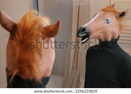 Horse looking a mirror reflection
