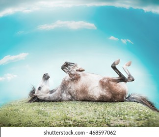 Horse lying on his back , feet up and resting on a hill of green grass on a background of blue sky with clouds