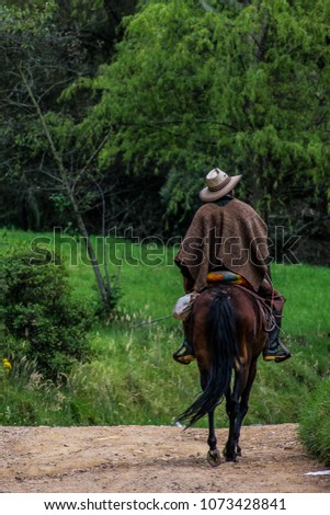 Horse man on road in the Colombain mountains