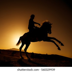 Horse Man Silhouette Sunset Stock Photo (Edit Now) 560329939