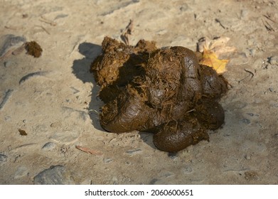 1,443 Horse feces Images, Stock Photos & Vectors | Shutterstock