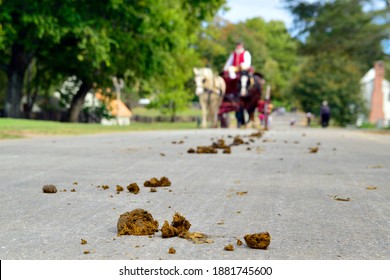 Horse manure left on road by horse-and-buggies
