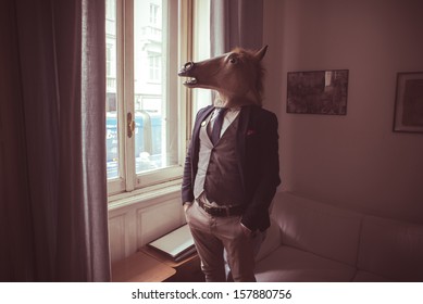 10,916 Horse mask Images, Stock Photos & Vectors | Shutterstock