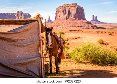 Horse In Monument Valley, Arizona