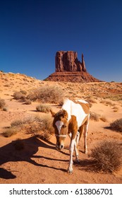 Horse And Monument Valley, USA