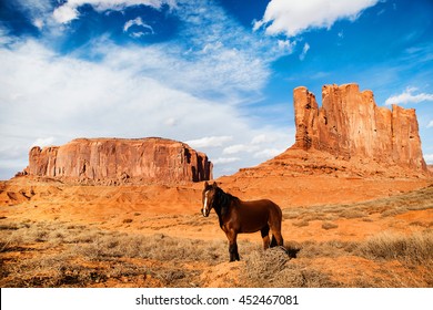 Horse In The Monument Valley - Usa - Arizona