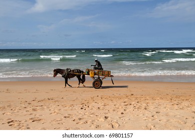 Horse On The Beach Of Senegal
