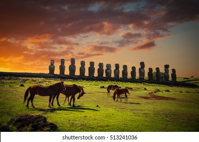 Horse On Easter Island At Sunset Walk Around Statues