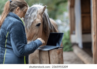 Horse owner as digital online clients: A laptop in front of blurred horse and owner paddock scene, consulting online advice and online shopping as horse owner - Powered by Shutterstock