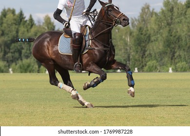 Pony Club Images Stock Photos Vectors Shutterstock