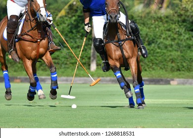 Horse Polo Player protect a polo ball. 