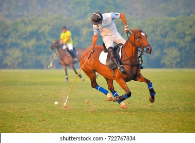 Horse Polo player use mallet hit polo ball on sunset match.