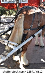 Horse Poop Images, Stock Photos & Vectors | Shutterstock