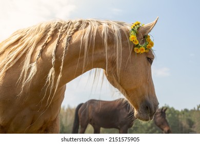Horse portrait, spring, summer with a wreath of flowers. Spring background. Beautiful white mane. Palomino quarter horse in a spring meadow