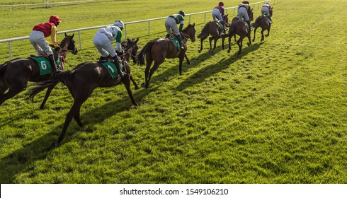 Horse Race Galloping Into The Sunlight Towards The Finish Line