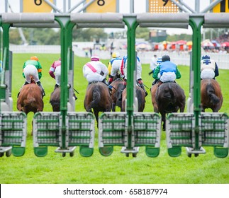 Horse Race Leaving Out Of The Start Gate