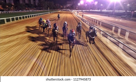 Horse Race At Night