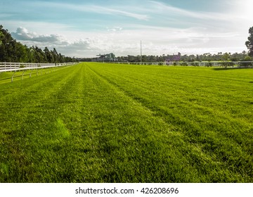 Horse Racecourse Field In Melbourne