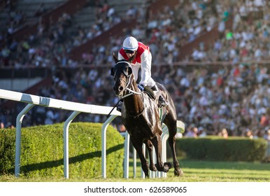 Horse races, jockey and his horse goes towards finish line. Traditional European sport.
