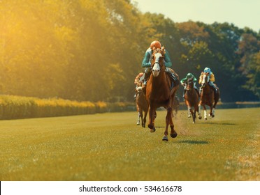 Horse Racing - Shutterstock ID 534616678