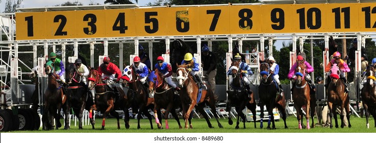 Horse Race Starting Gate High Res Stock Images Shutterstock