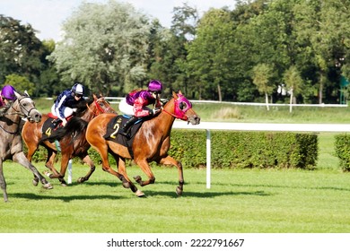 Horse Racing, Competition, 2nd Number Wins