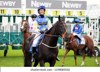 HORSE RACING - David Allan And Buyer Beware, Horse And Jockey Down At The Start At York Races : York Racecourse, Nth Yorkshire, UK : 9 September 2018